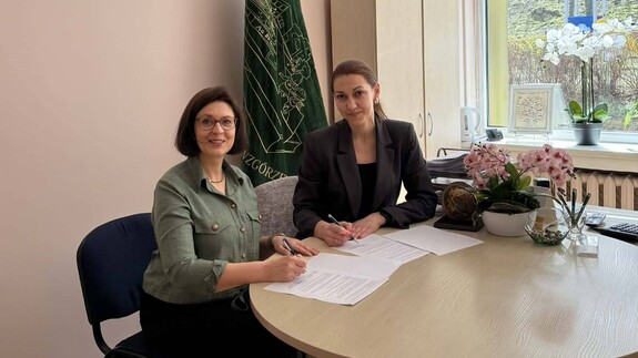 Agreement with the School-Kindergarten "Zielone Wzgórze"