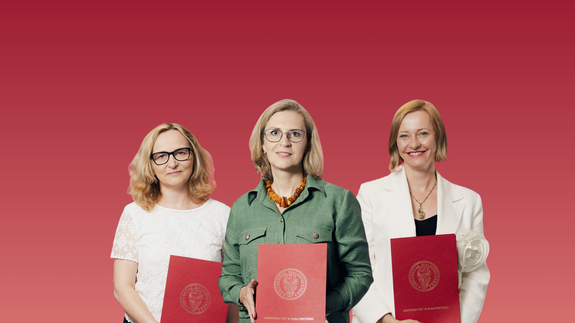 New authorities (2024-2028)