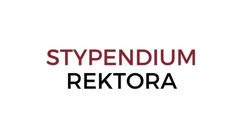 w sprawie wysokości stawek stypendiów, zwiększenia stypendium oraz zapomogi w roku akademickim 2024/2025