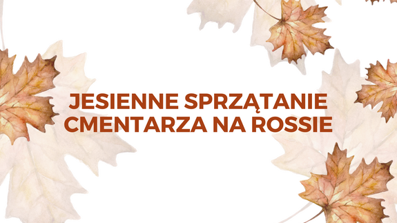 Sprzątanie Rossy