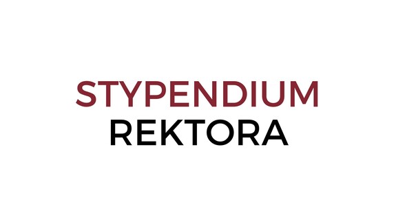 w sprawie wysokości stawek stypendiów, zwiększenia stypendium oraz zapomogi w roku akademickim 2024/2025